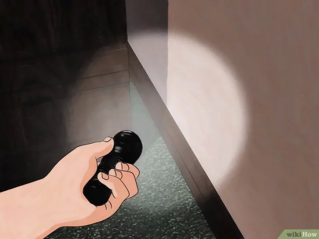 如何清除床虱,广东床虱怎么清除