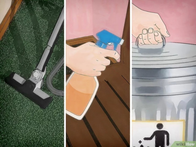 如何清除床虱,广东床虱怎么清除