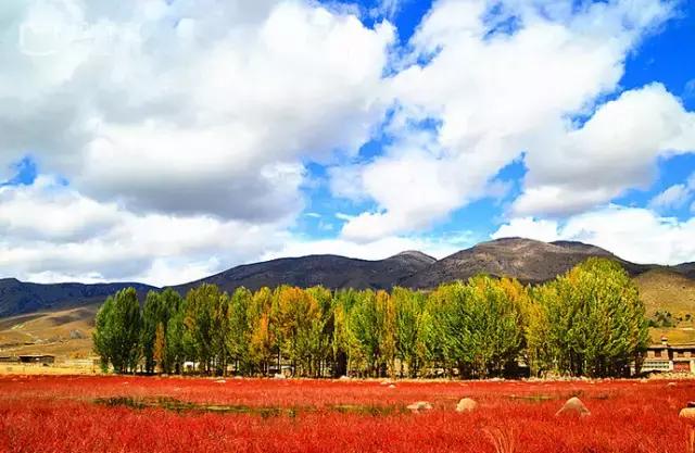 川西最美秋景,四川最美秋景