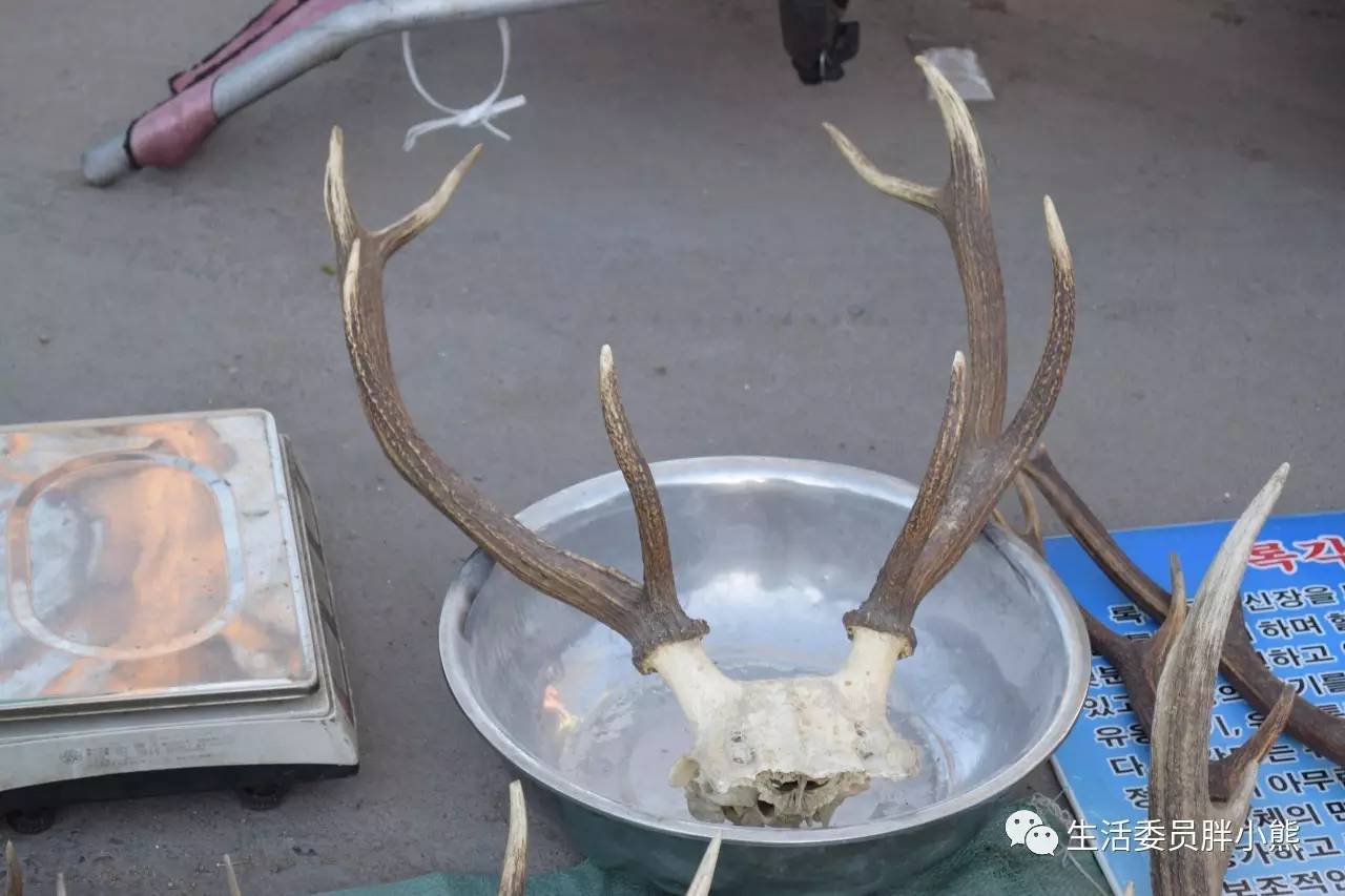 一个人的旅行延吉,延吉旅行日记