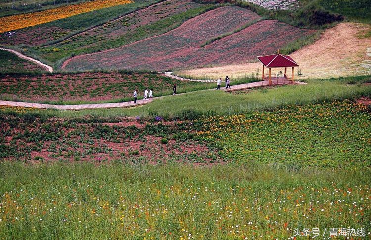 湟中区乡村旅游发展概况,青海湟中县上五庄镇乡村旅游