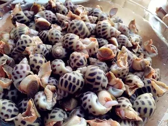 又到吃海鲜的季节咯！一位吕四渔民整理的海鲜大全，保证有你不认识的！