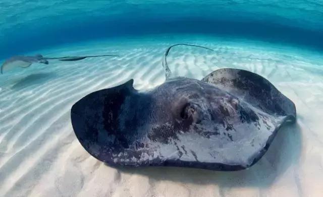 又到吃海鲜的季节咯！一位吕四渔民整理的海鲜大全，保证有你不认识的！