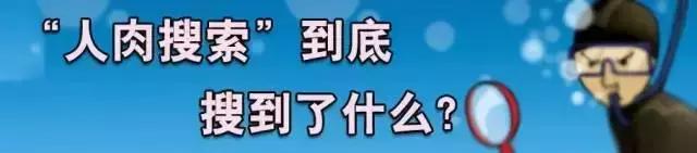 策划案内容可以在哪些网站查找,人肉搜索产业链调查