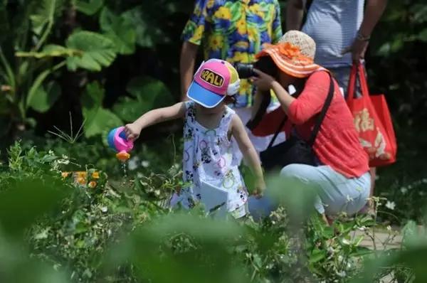亚龙湾红树林酒店室内玩乐,亚龙湾红树林酒店潜水体验