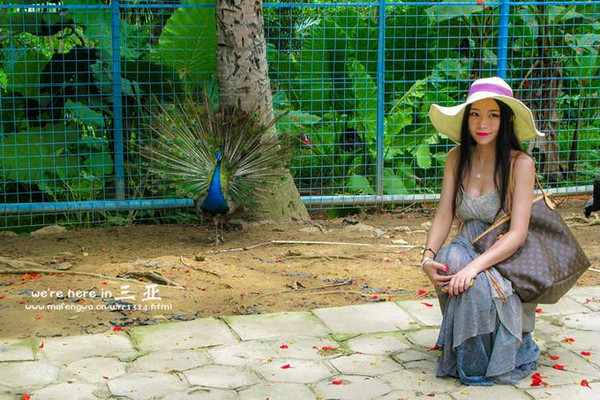 三亚五天四晚旅行团爱上海岛,三亚3天两晚够不够