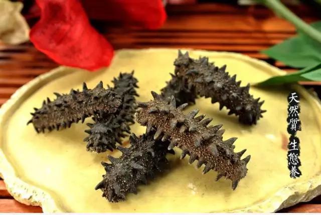 不懂这些不要轻易买保险,不要再花冤枉钱买海参