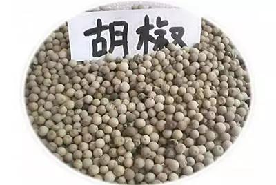 跟我识中药|胡椒——调味是能手，治病有奇招