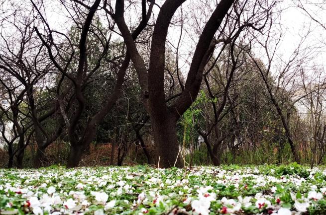 小米4s试驾,小米4S测评