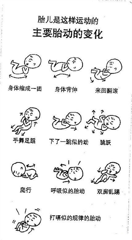 最强胎动背后都是怎样的熊孩子？妈妈看完哭笑不得，这娃还生不生