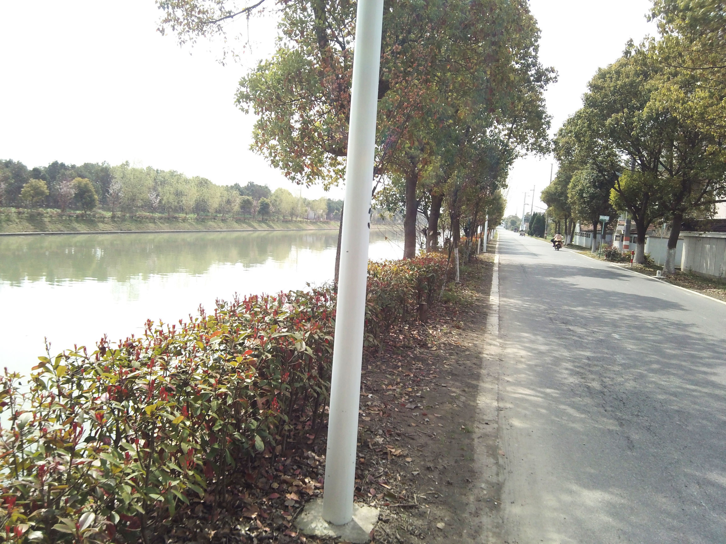 *拍偷**大湿OR生活记录大师，Foream便利贴相机