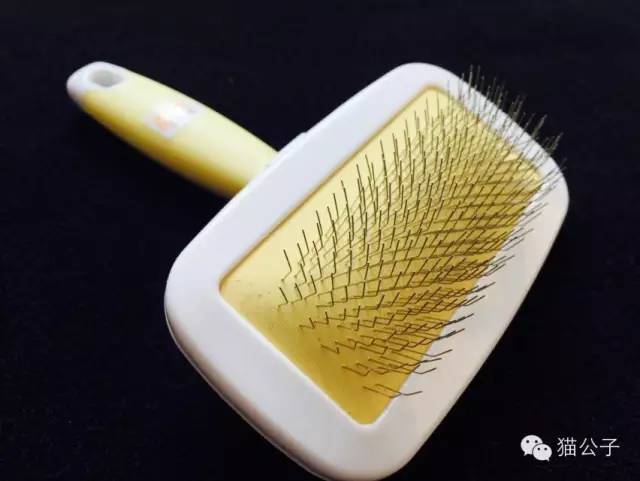 到处都是猫毛|到底什么猫毛梳最好用?