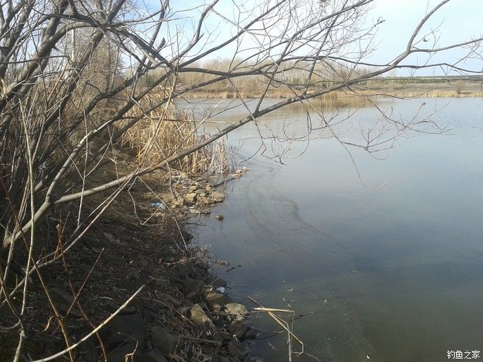 远征远征17,远征17-20