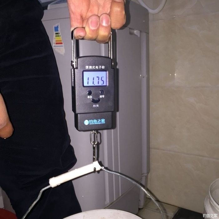 春天钓鲫鱼,春天钓黑坑新鱼