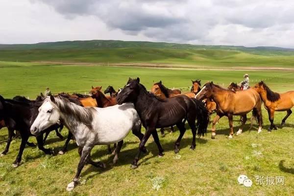 张掖哪个县最好,张掖哪个地方最好玩