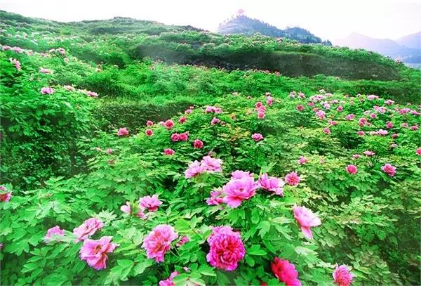 保定你竟然这么花!我真是看错你了!