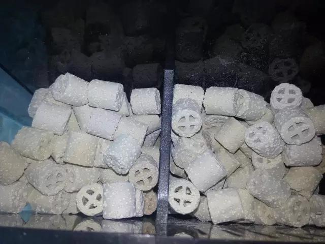 开缸的日记,开缸日记小鱼缸