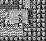 宠物小精灵20周年纪念视频,2021年新出的宠物小精灵