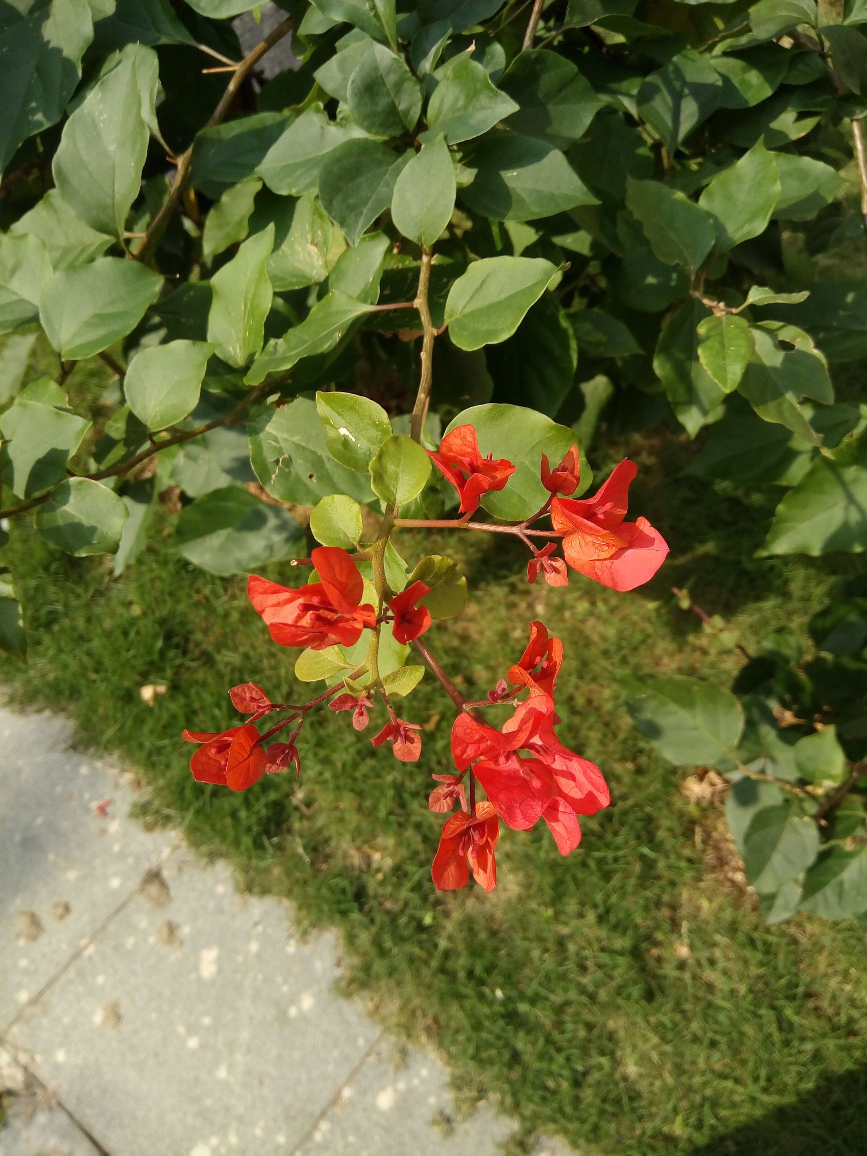 360F4手机,360手机f4标准版和高配版区别