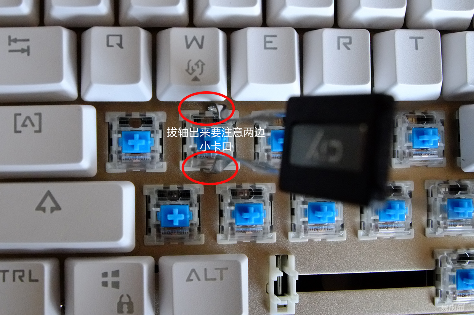 狼派键盘,狼派机械键盘怎么样