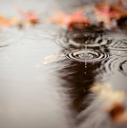 女孩闺蜜溺水死亡全家人都怪他了,闺蜜水库溺亡后续