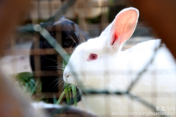 牵着小手去旅行,牵着小手去旅游