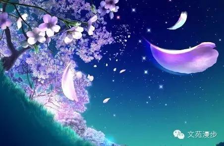 高泪点的小说短篇,泪点高短篇小说