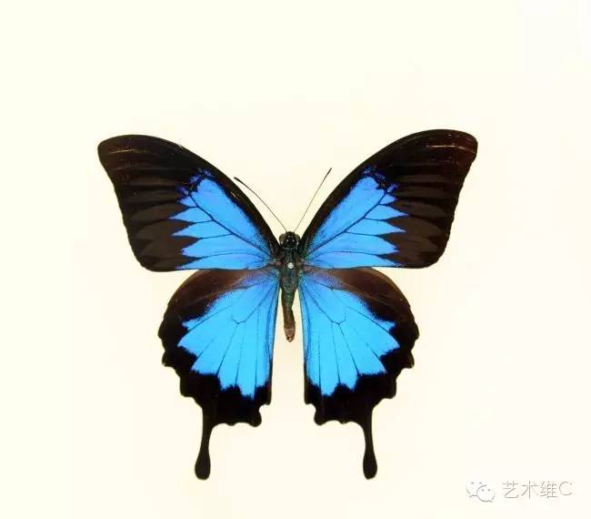 回南天家具防潮最好的方法,回南天防潮好物