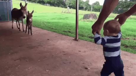 篮球场上的搞笑图片,打篮球加一个人搞笑图片