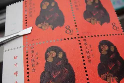 摄影师记录分娩环球网,摄影师记录分娩过程