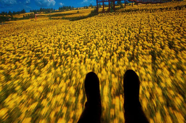 鱼游白沙洲,万达电影乐园汉秀双骄亮灯