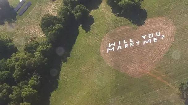 请求大家帮忙支招,求婚的100种方式合集