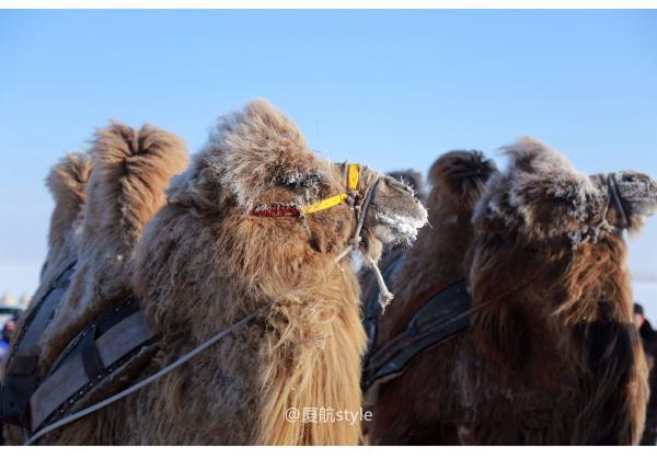 牧马少年歌曲完整版,牧马少年草原