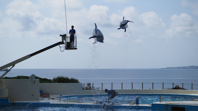 奥林巴斯相机镜头参数,奥林巴斯penf实拍样张