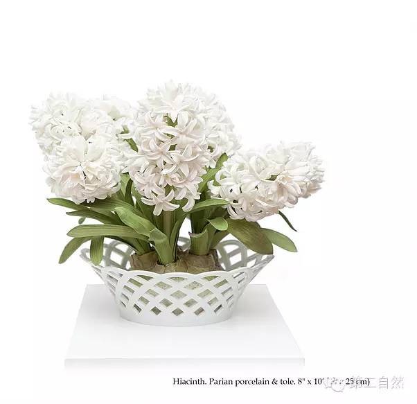 乌克兰大叔和他美到令人窒息的陶瓷永生花