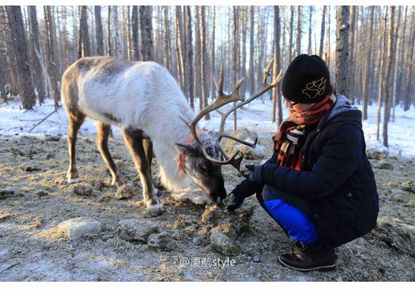 牧马少年歌曲完整版,牧马少年草原
