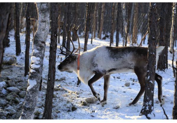 牧马少年歌曲完整版,牧马少年草原