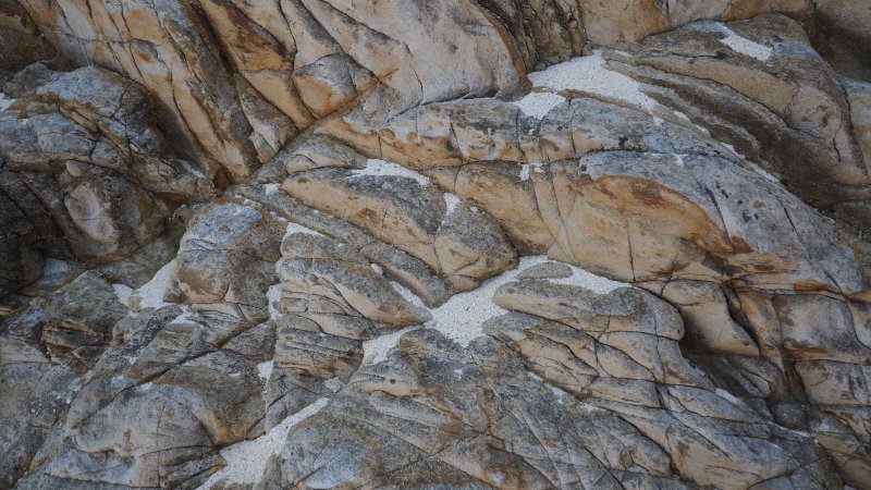 奥林巴斯相机镜头参数,奥林巴斯penf实拍样张