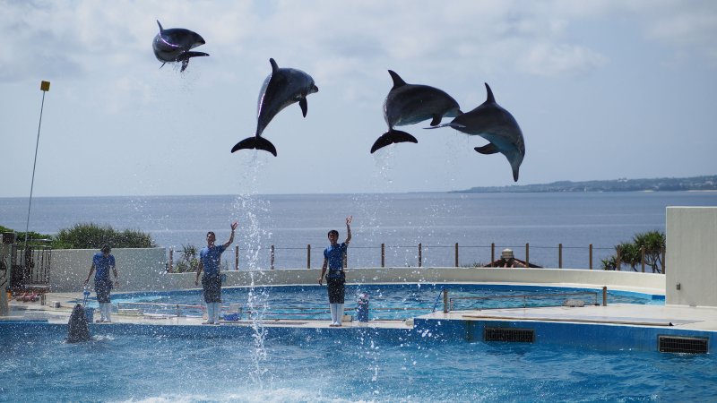 奥林巴斯相机镜头参数,奥林巴斯penf实拍样张