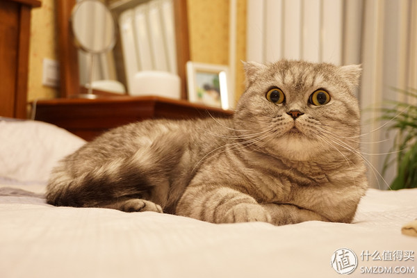 88平米三室老房翻新,40平米老房改造装修