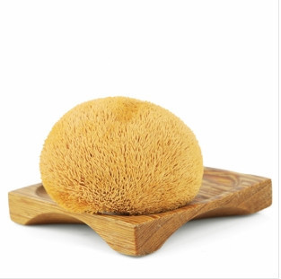 猴头菇真有那么多功效吗,猴头菇真假怎么区别