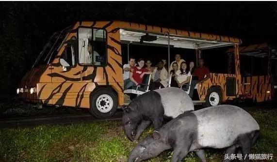 在泰国购物必买东西清单,泰国购物必买清单中国品牌