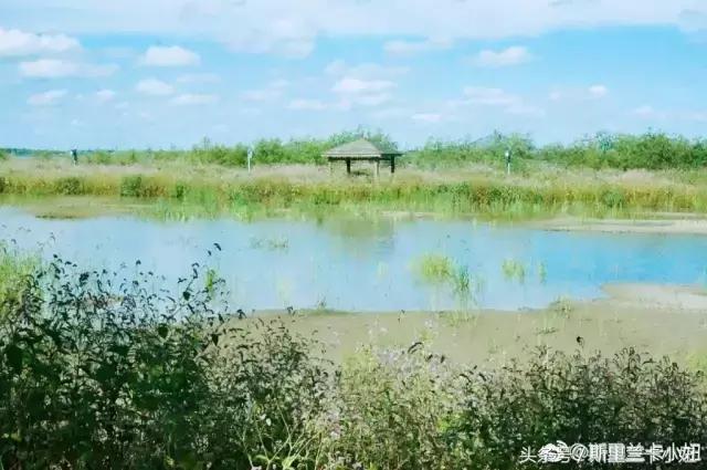 黑龙江十大必游景点推荐,黑龙江最值得去的景点