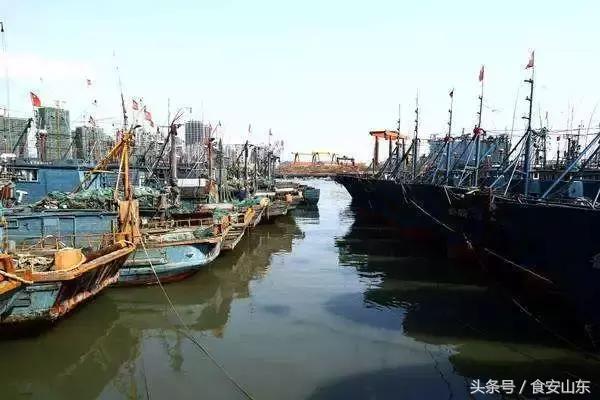 9月1号开海海鲜能便宜吗,9.1开海海鲜掉价吗