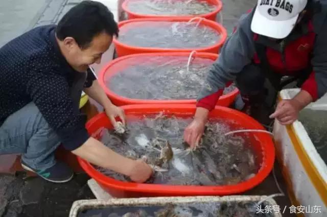 9月1号开海海鲜能便宜吗,9.1开海海鲜掉价吗