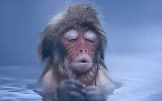 镇江十大温泉度假村,泡温泉镇江