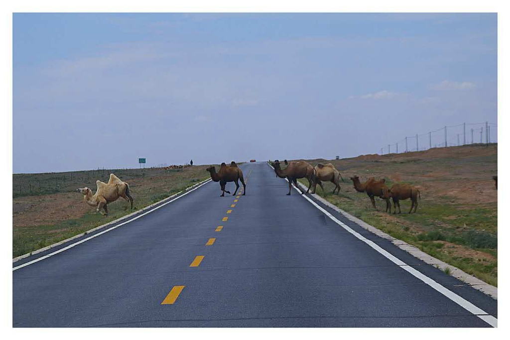 西安到阿拉善左旗自驾游攻略,西安到阿拉善三日游