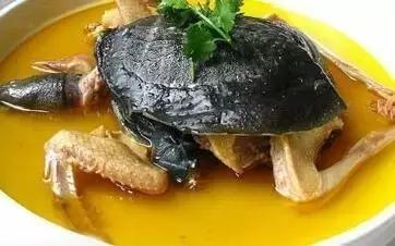 40岁闭经的最佳调理方法,40岁女人闭经该怎么调理