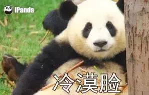 男朋友是内蒙古人,第一次送的礼物是一只羊网友笑喷:成都人只能送火锅底料了!