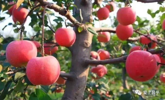 我们是谁原版,我们是谁完整版